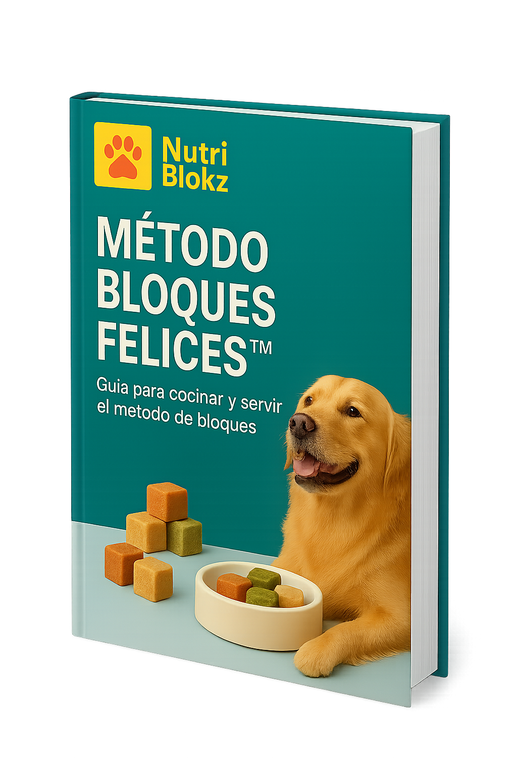 Metodo Bloques Felices™