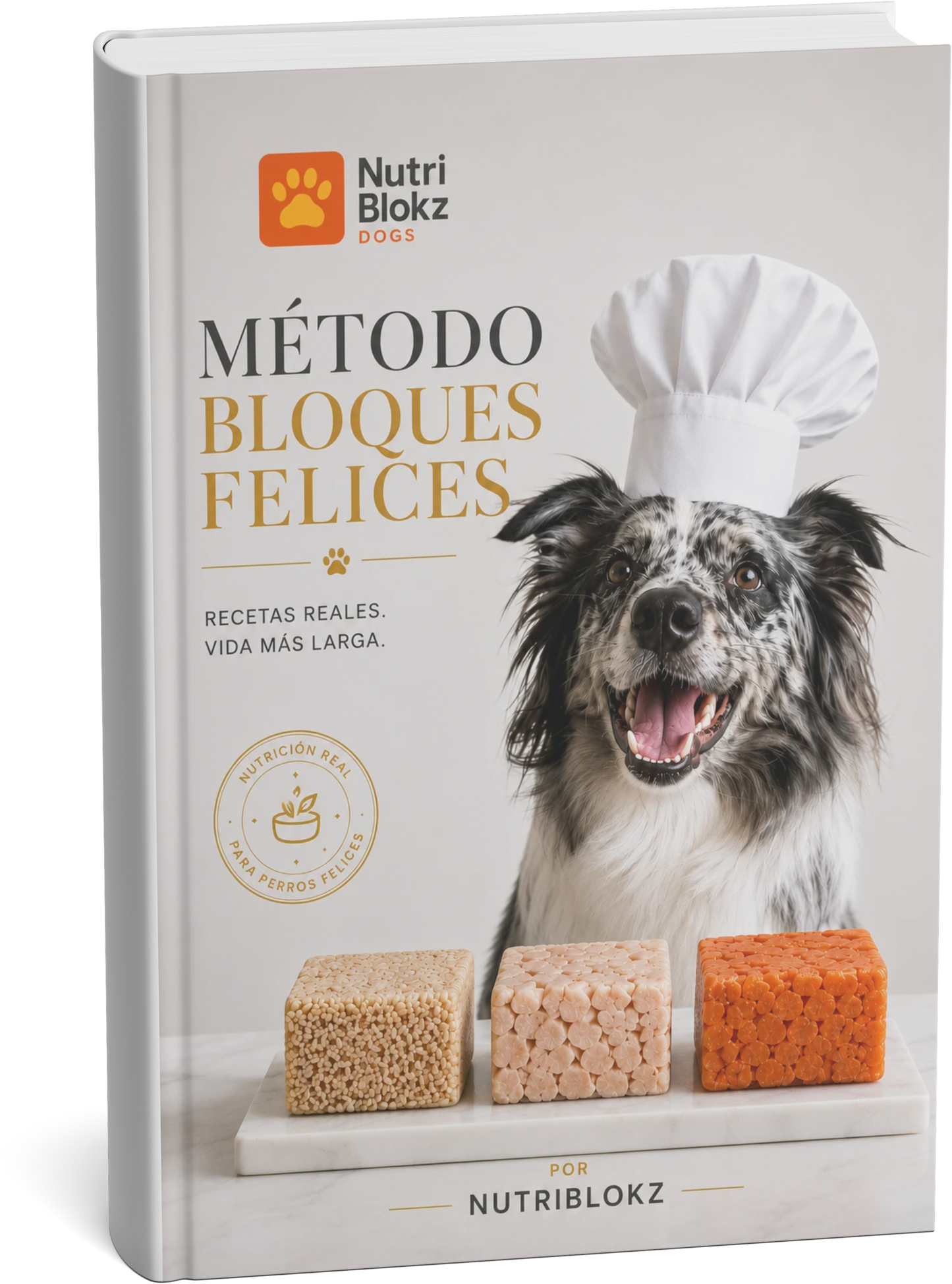 Método Bloques Felices™