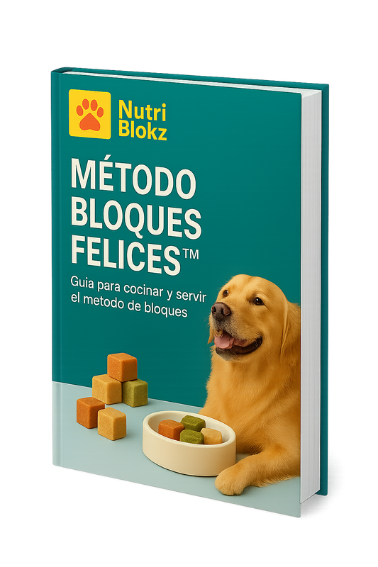 Metodo Bloques Felices™